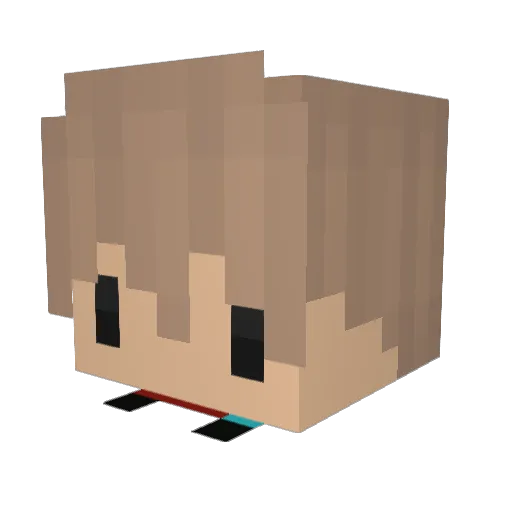 DerChipFresser Minecraft avatar head, 3D render
