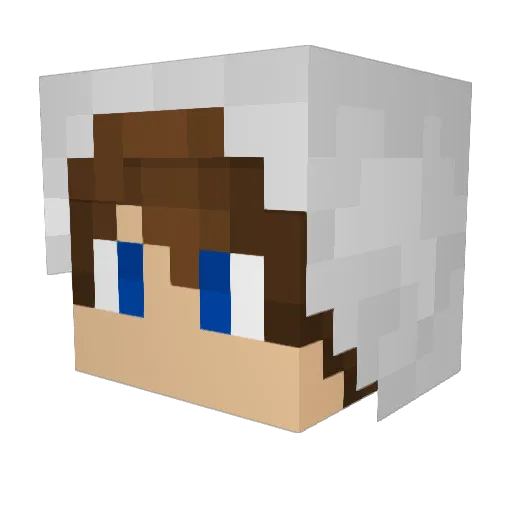 DerCola Minecraft avatar head, 3D render