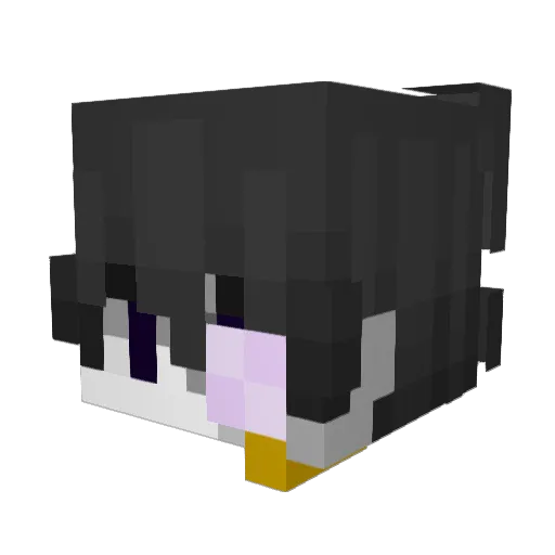DerDickeMichii Minecraft avatar head, 3D render