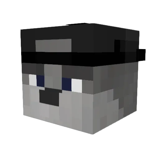 DerDonVonKandel Minecraft avatar head, 3D render