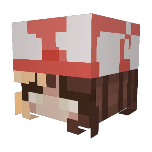 DerEchteMoewe Minecraft avatar head, 3D render