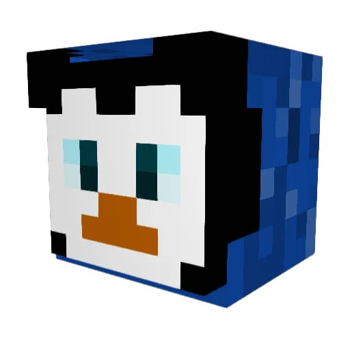 DerEchteSteini Minecraft avatar head, 3D render