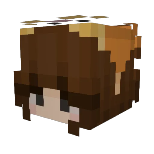 DerFrrekl Minecraft avatar head, 3D render