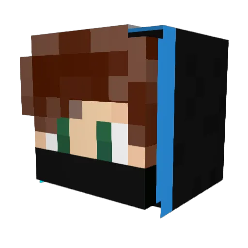 DerFruchtzerg Minecraft avatar head, 3D render