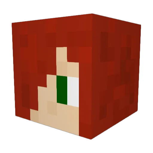 DerGecko123 Minecraft avatar head, 3D render