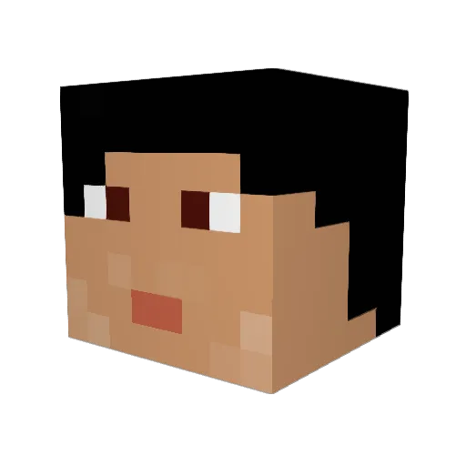 DerGeneralMc Minecraft avatar head, 3D render