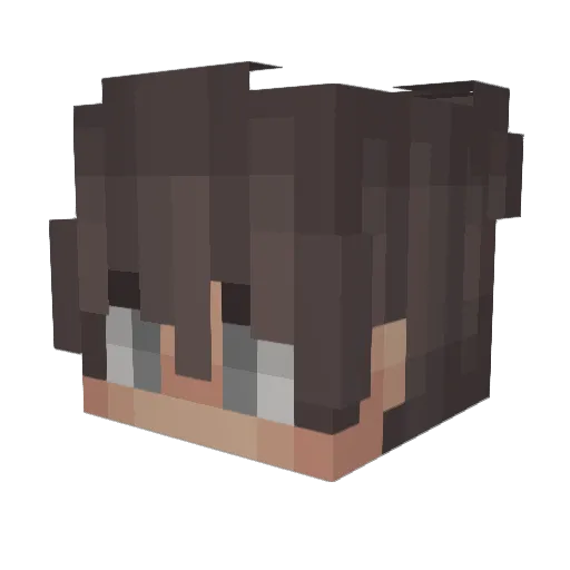 DerHingefalln Minecraft avatar head, 3D render