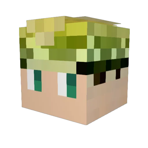 DerHobbit007 Minecraft avatar head, 3D render