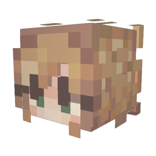 DerKaterMimi Minecraft avatar head, 3D render