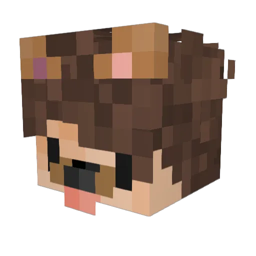 DerMadafaka Minecraft avatar head, 3D render