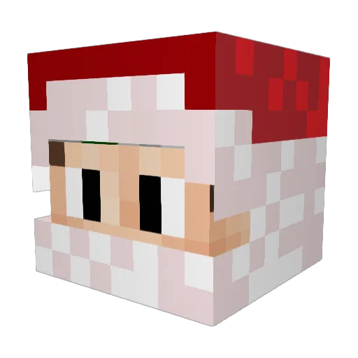 DerMajor__ Minecraft avatar head, 3D render