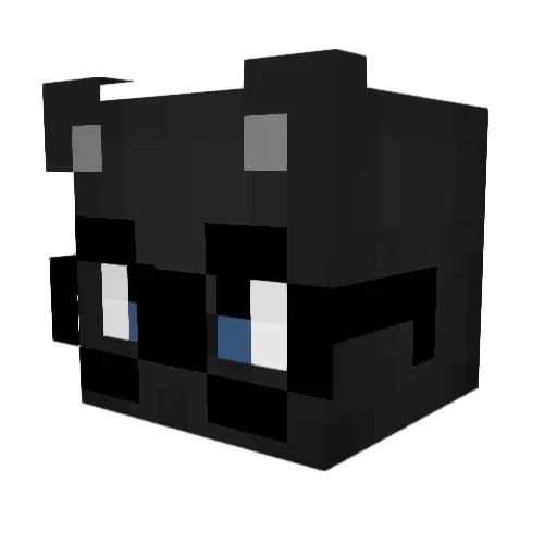 DerNamelose Minecraft avatar head, 3D render