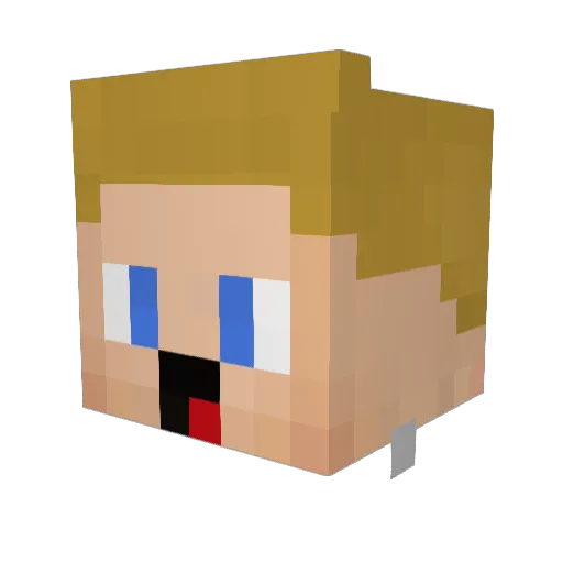 DerNiccle Minecraft avatar head, 3D render