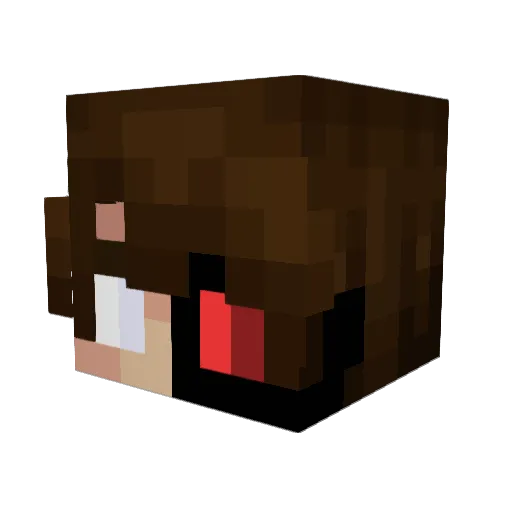 DerNinja007 Minecraft avatar head, 3D render