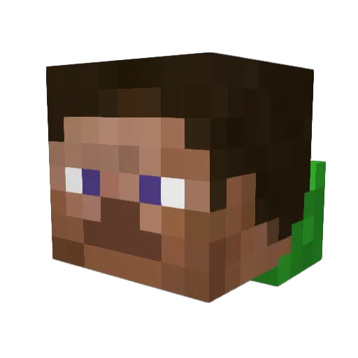 DerPeter77 Minecraft avatar head, 3D render