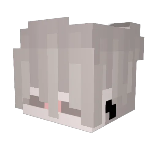 DerPolake Minecraft avatar head, 3D render