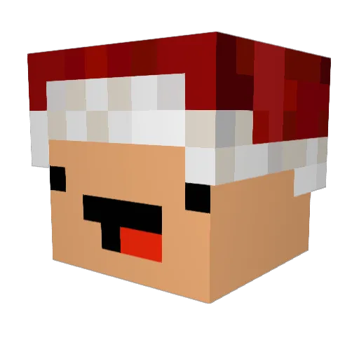 DerPoper Minecraft avatar head, 3D render