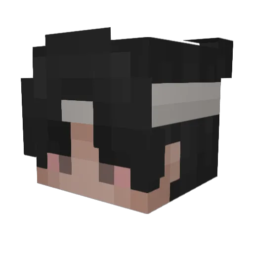 DerSalzige Minecraft avatar head, 3D render