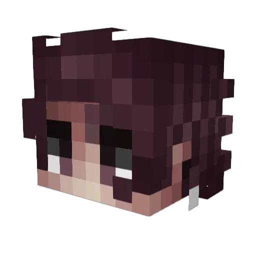 DerSchubinator Minecraft avatar head, 3D render