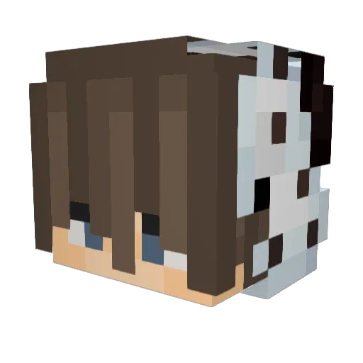 DerSchulleiter Minecraft avatar head, 3D render