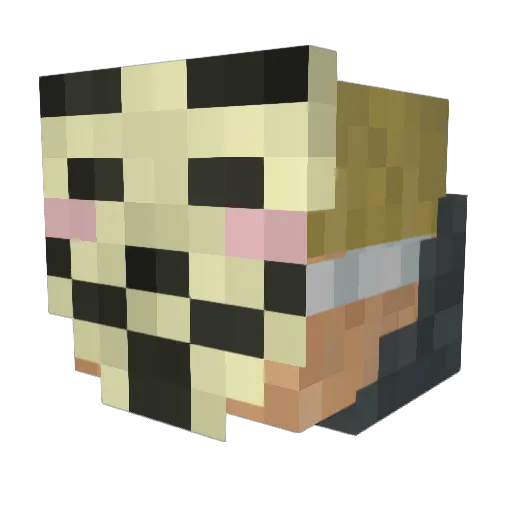 DerSnacker69 Minecraft avatar head, 3D render