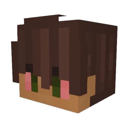 DerTerror_ Minecraft avatar head, 3D render