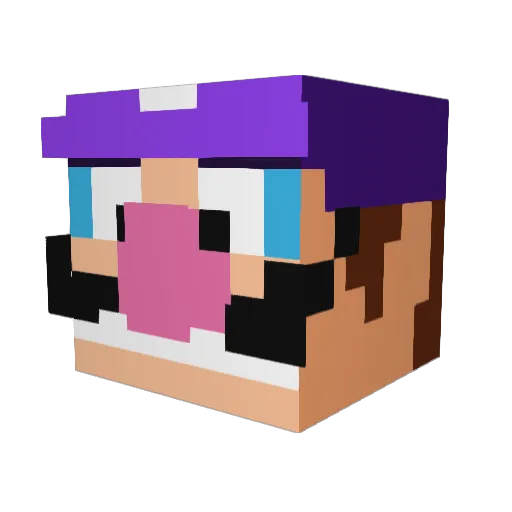 DerTim57 Minecraft avatar head, 3D render