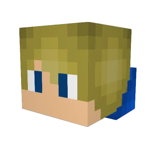 DerTim843 Minecraft avatar head, 3D render