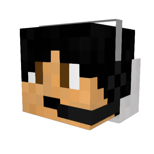 DerTobi96 Minecraft avatar head, 3D render