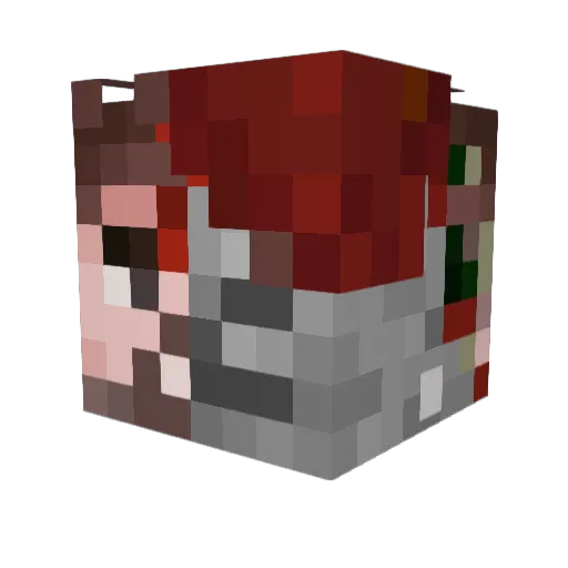 Minecraft-Avatar von DerTsuro: Kopf als 3D-Render