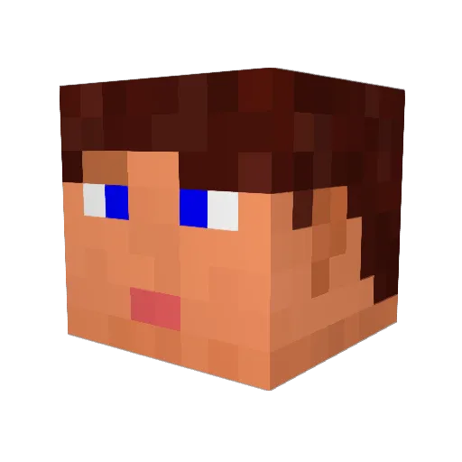 DerWitzer Minecraft avatar head, 3D render