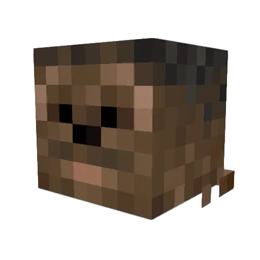 DerWoodHood Minecraft avatar head, 3D render