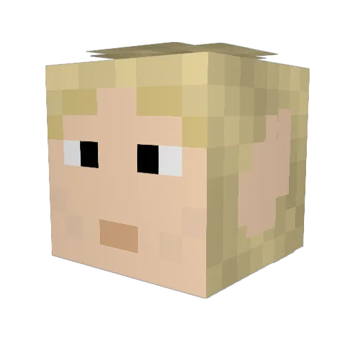 Der_Busfahrer Minecraft avatar head, 3D render