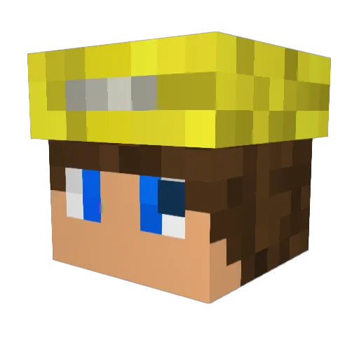 Der_Hund_ Minecraft avatar head, 3D render
