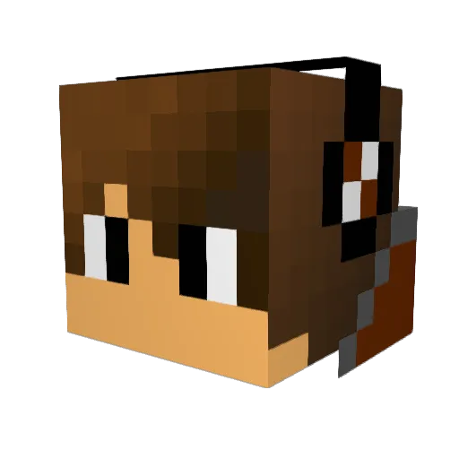 Der_Idiot Minecraft avatar head, 3D render