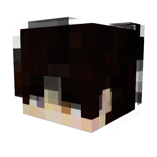 Der_Item Minecraft avatar head, 3D render