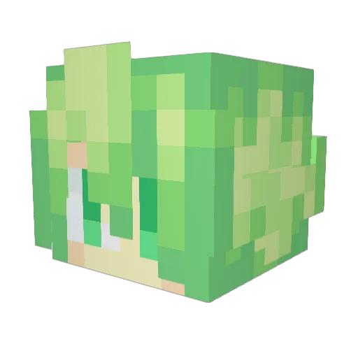 Der_Jobro Minecraft avatar head, 3D render