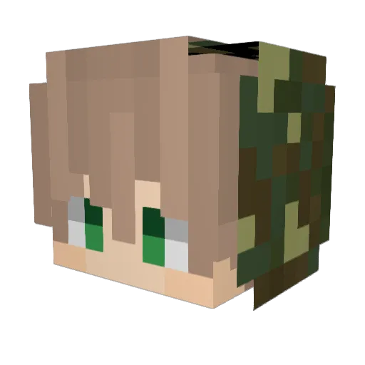 Der_Master99 Minecraft avatar head, 3D render