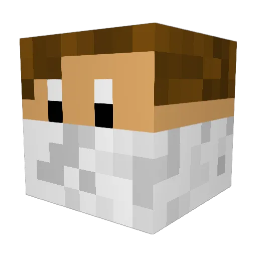 Der_Muenzkopf Minecraft avatar head, 3D render