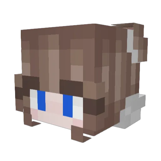 Der_Profi_Digga Minecraft avatar head, 3D render
