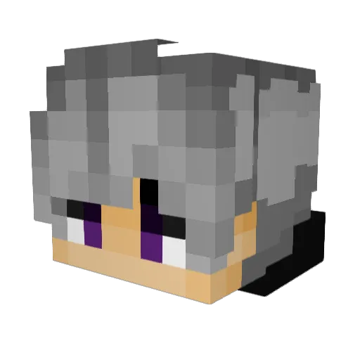 Der_Schnitzi Minecraft avatar head, 3D render