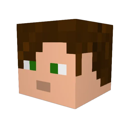 Der__Doktor Minecraft avatar head, 3D render