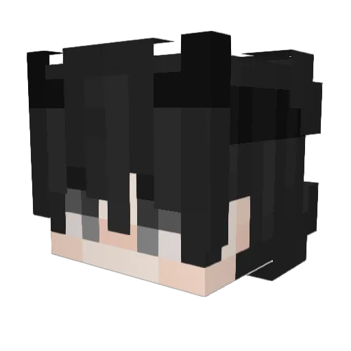 Der_kleine_Panda Minecraft avatar head, 3D render