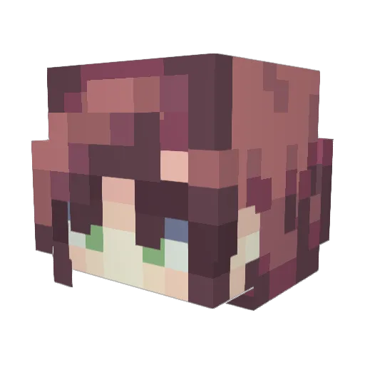 Deracattak Minecraft avatar head, 3D render
