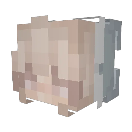 DerangedBoise Minecraft avatar head, 3D render