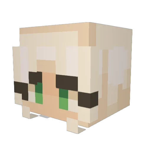 DerangedFrog456 Minecraft avatar head, 3D render