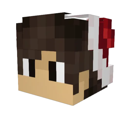 DerangedGrandma Minecraft avatar head, 3D render