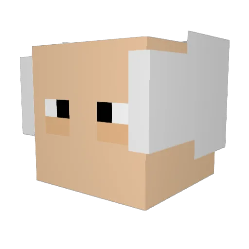 DerekSavage Minecraft avatar head, 3D render