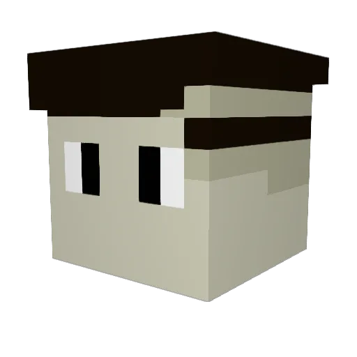 Dericky17 Minecraft avatar head, 3D render