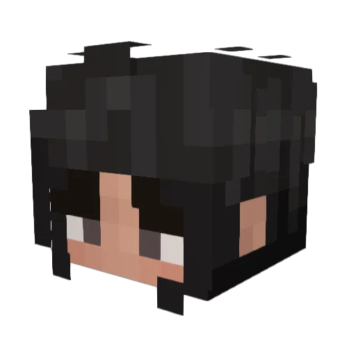 DerinThePro1 Minecraft avatar head, 3D render